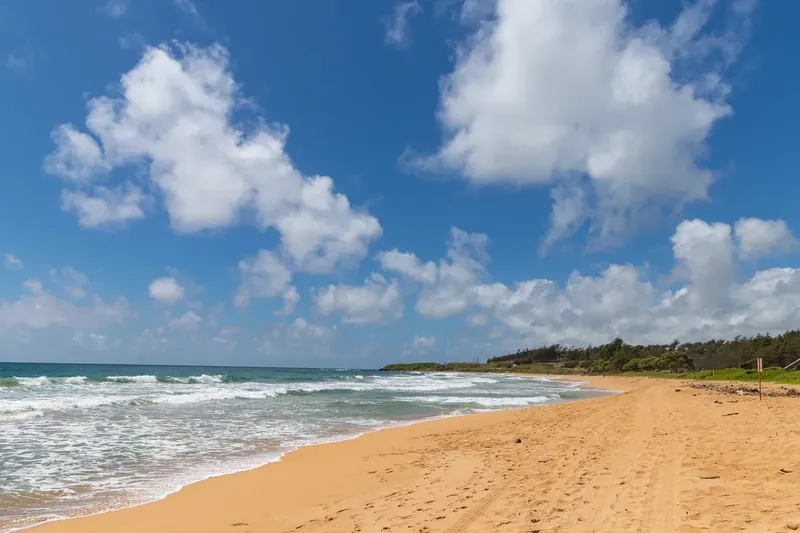 A wide sandy beach and surf at Kealia on Kauai’s east side