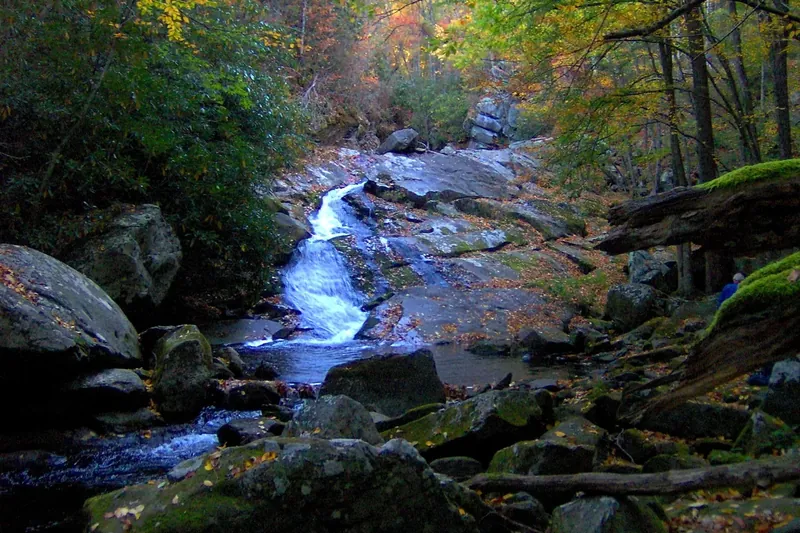 Lynn Camp Prong tumbling over rocks beside an old rail-bed path