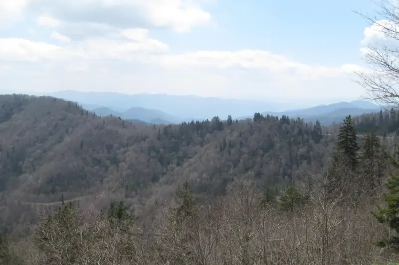 Blue ridgelines layered into the distance from Newfound Gap in Great Smoky Mountains National Park