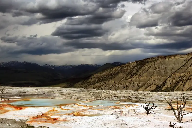 Upper Terraces of Mammoth Hot Springs