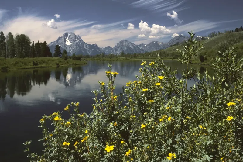 Mount Moran reflected in a quiet curve of the Snake River at Oxbow Bend