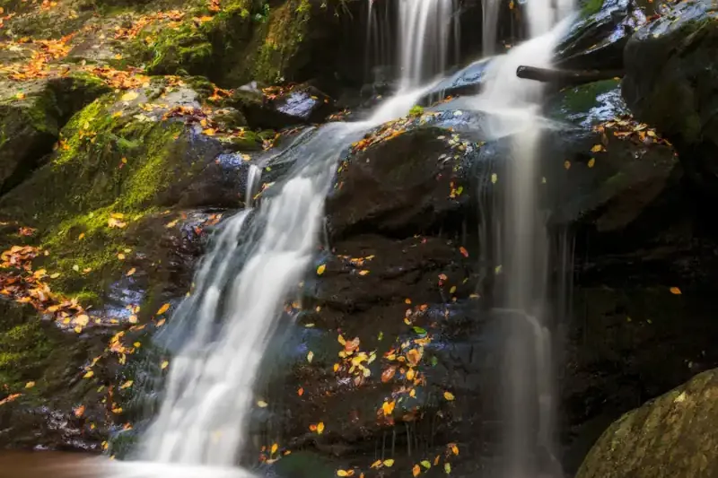 Dark Hollow Falls cascading over mossy rock in Shenandoah National Park