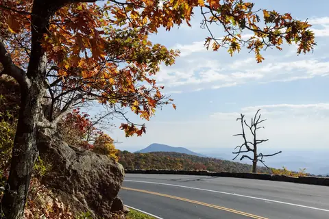 Layered Blue Ridge mountains in fall color seen from a Skyline Drive overlook in Shenandoah National Park