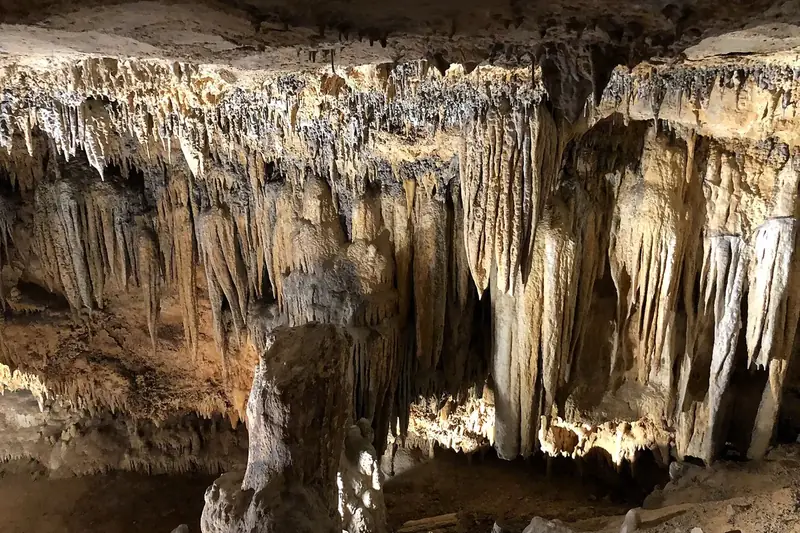 Lit stalactites and flowstone along the paved tour route in Luray Caverns