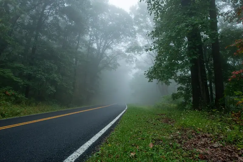 Skyline Drive curving into thick fog between green trees