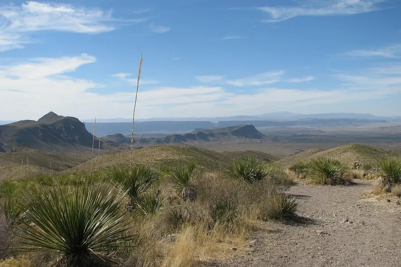 A dirt pullout and a yucca plant looking across desert ridges toward distant mountains at Sotol Vista in Big Bend
