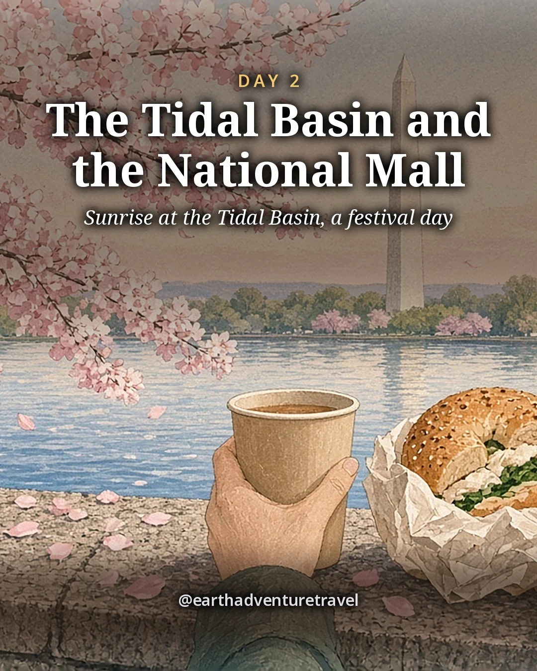 Illustration: two coffees and a paper-wrapped bagel sandwich on the granite edge of the Tidal Basin seawall with fallen pink petals, dark cherry trunks and low blossom branches over the water, and the Washington Monument pale in the dawn light, illustrated day card for Day 2
