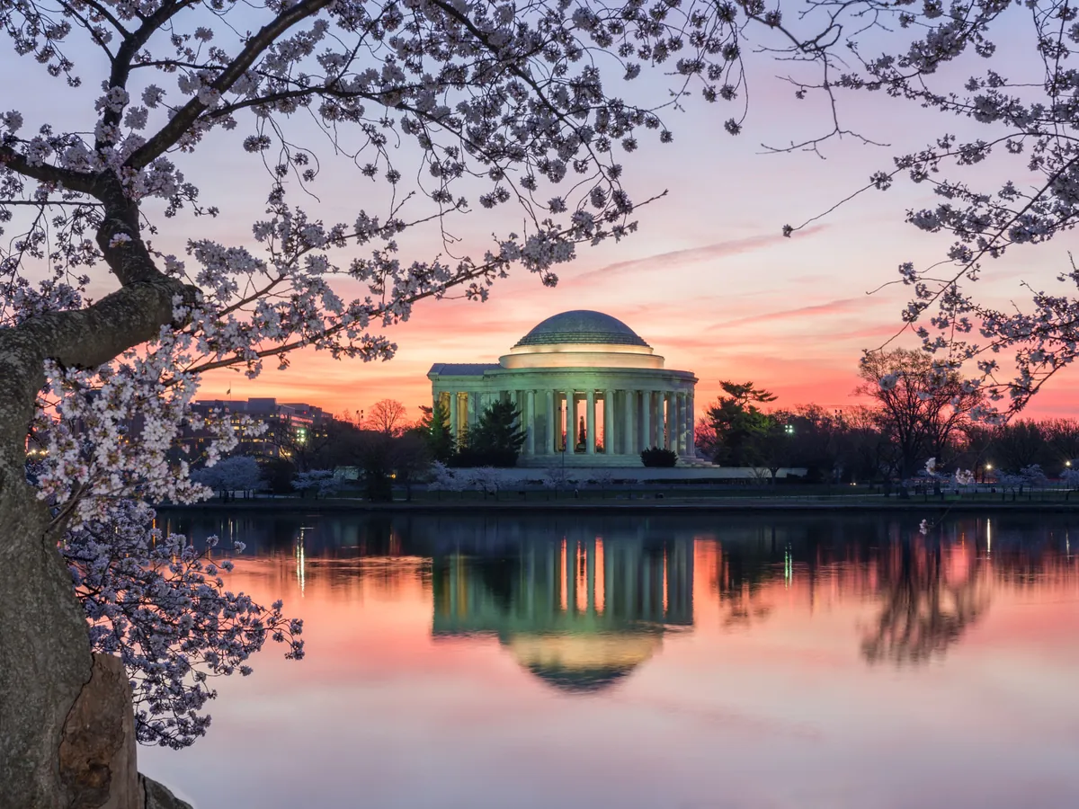 The Jefferson Memorial at sunrise across the Tidal Basin, framed by cherry blossoms