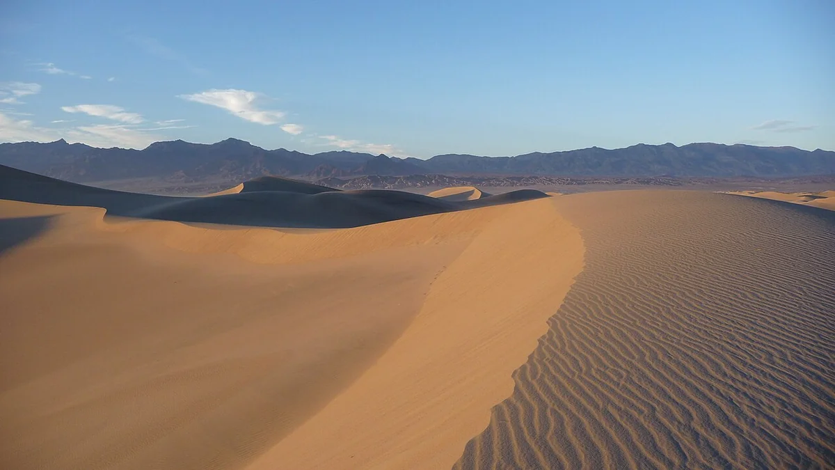 Rippled sand dunes at Mesquite Flat in golden light