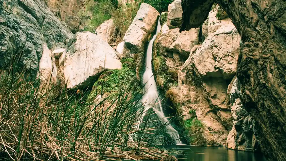 Darwin Falls waterfall feeding a desert pool