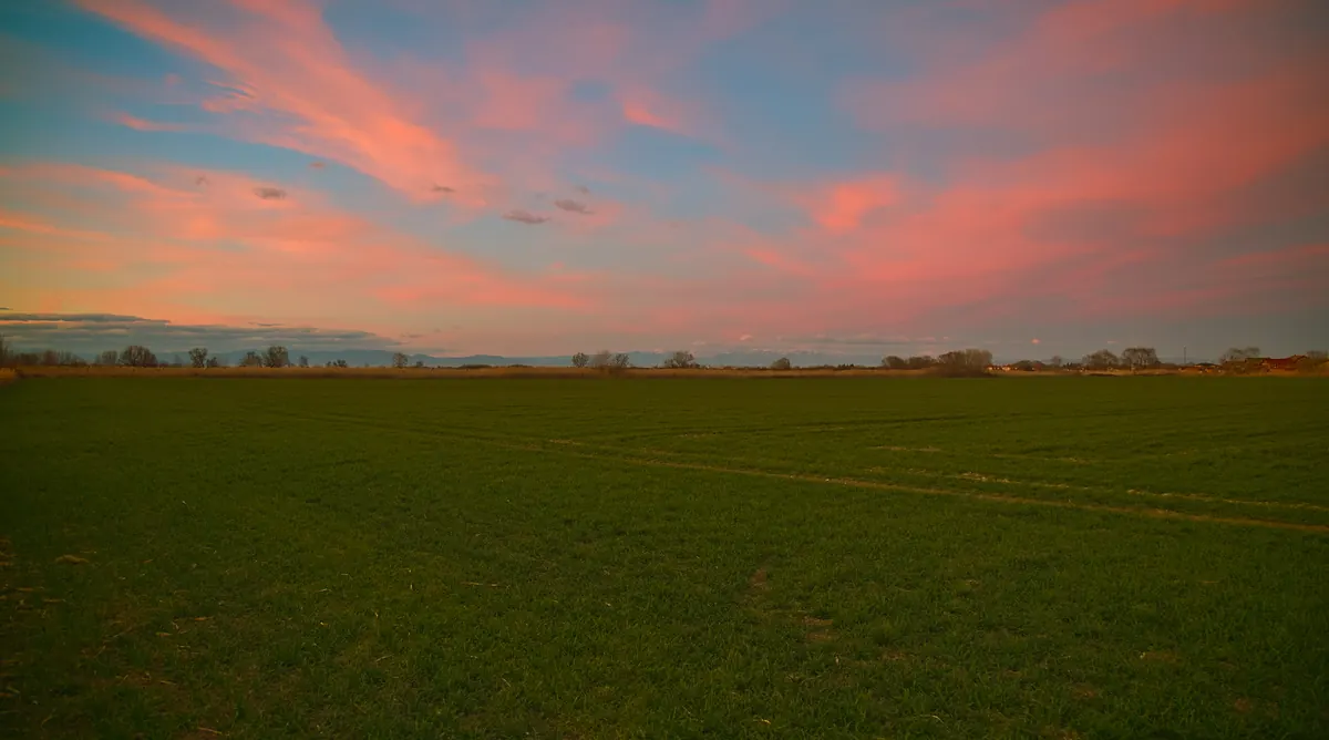 Golden wheat fields under a prairie sunset