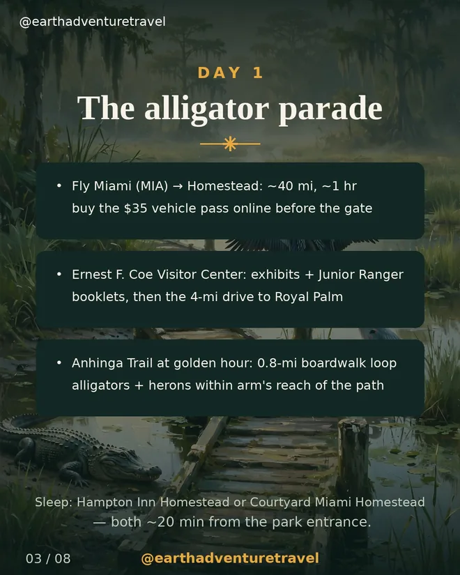 Deck slide: Day 1 — the alligator parade at Anhinga Trail