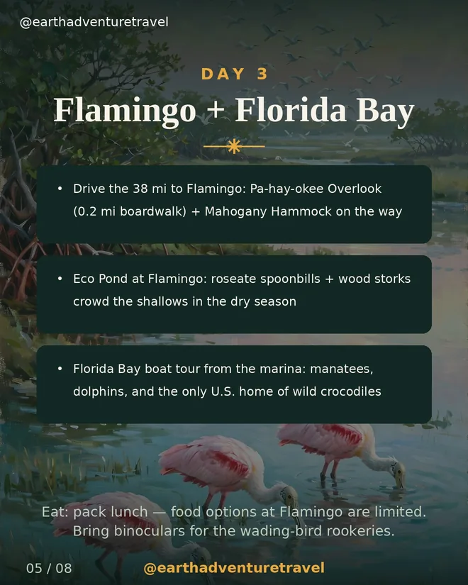 Deck slide: Day 3 — Flamingo and Florida Bay