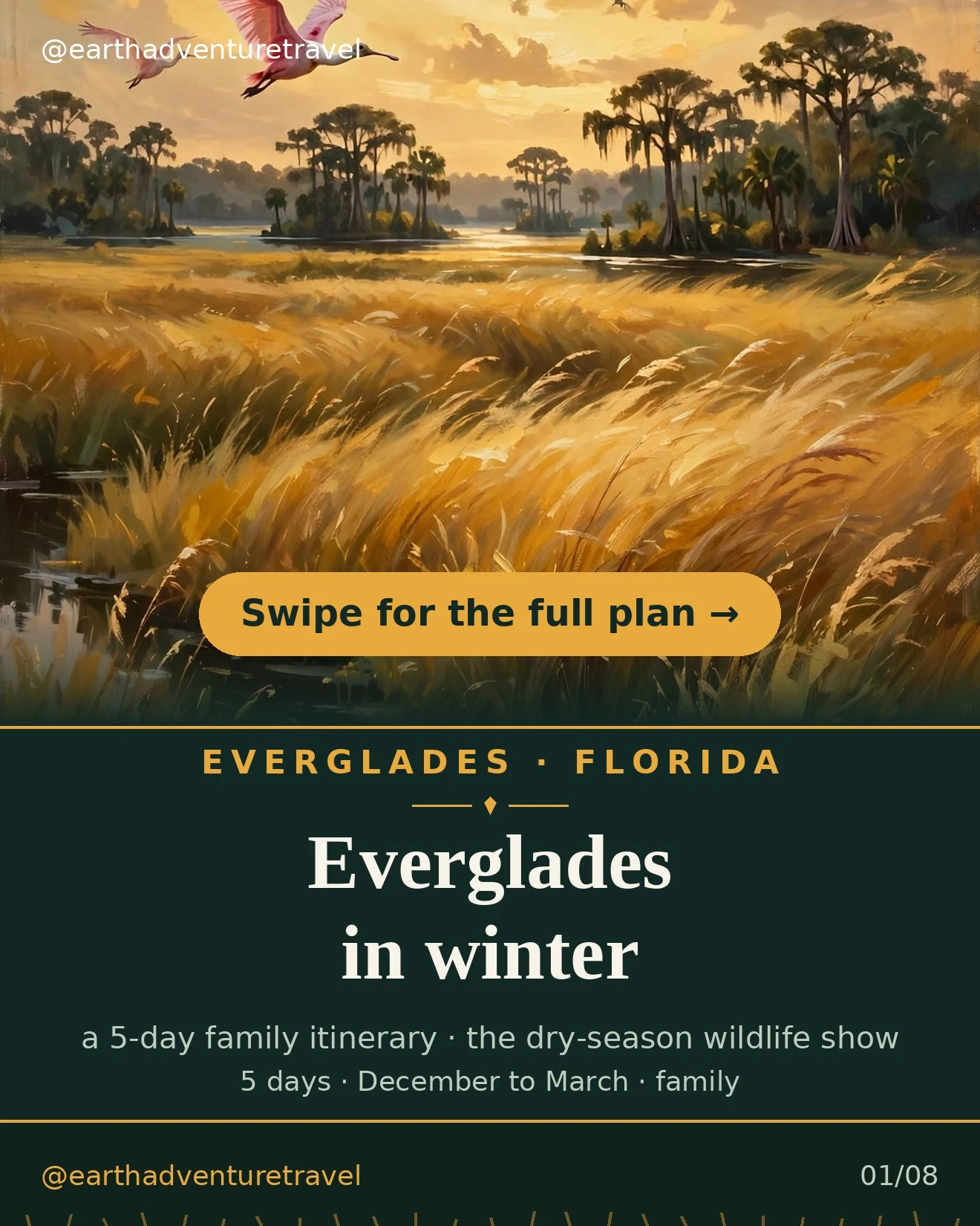 Everglades family trip cover: alligator in dark water under a golden sawgrass sky