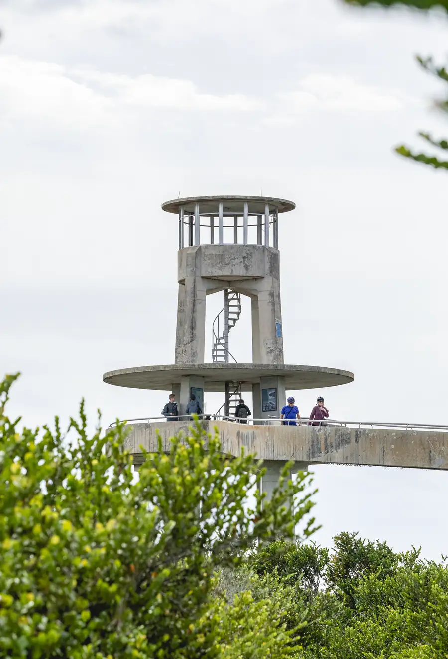 The Shark Valley observation tower over the sawgrass prairie