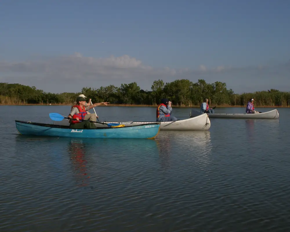 A canoe trail winding through the Everglades backcountry