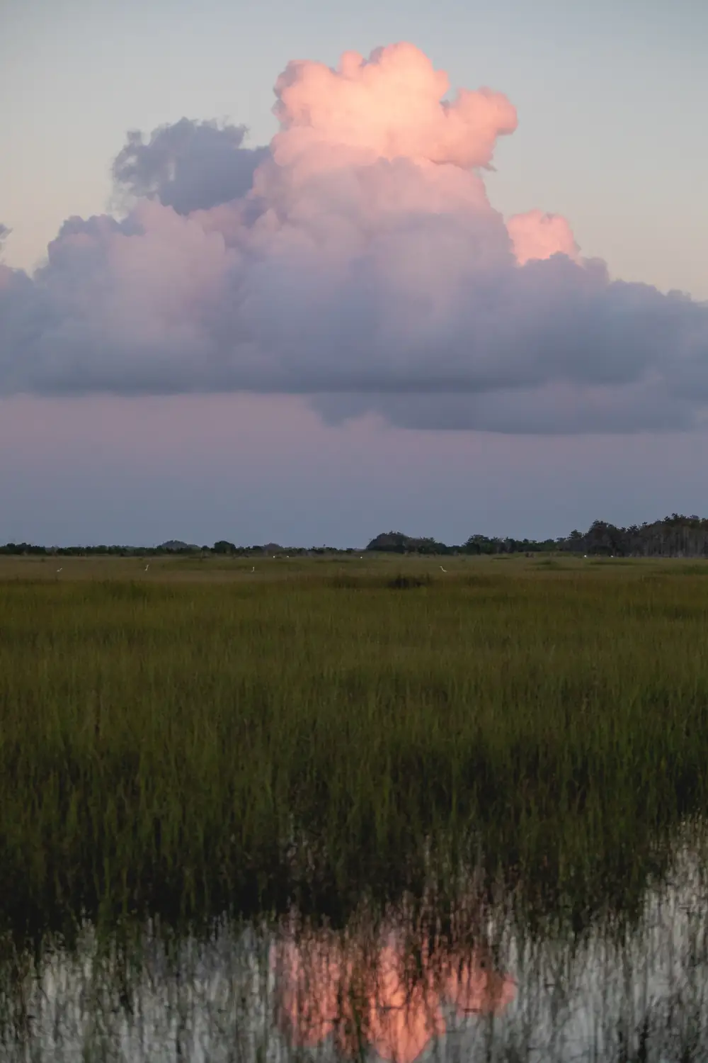 Sunset over the Everglades sawgrass prairie