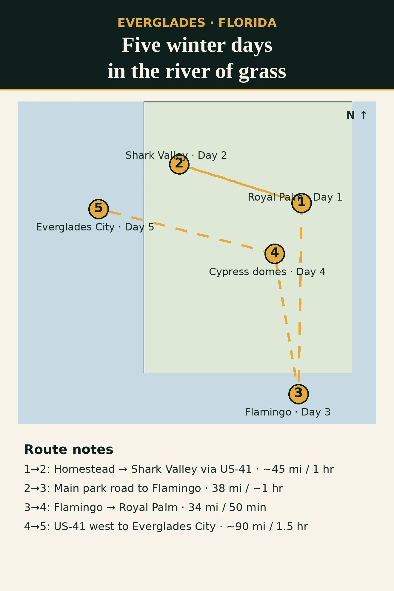 Illustrated route map: five winter days in the Everglades — Royal Palm, Shark Valley, Flamingo, cypress domes, and Everglades City