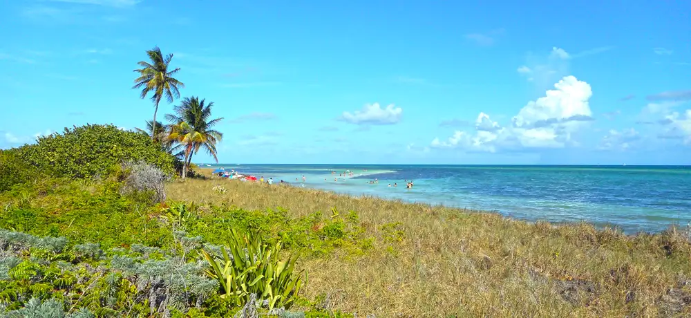 Palm-lined beach at Bahia Honda State Park