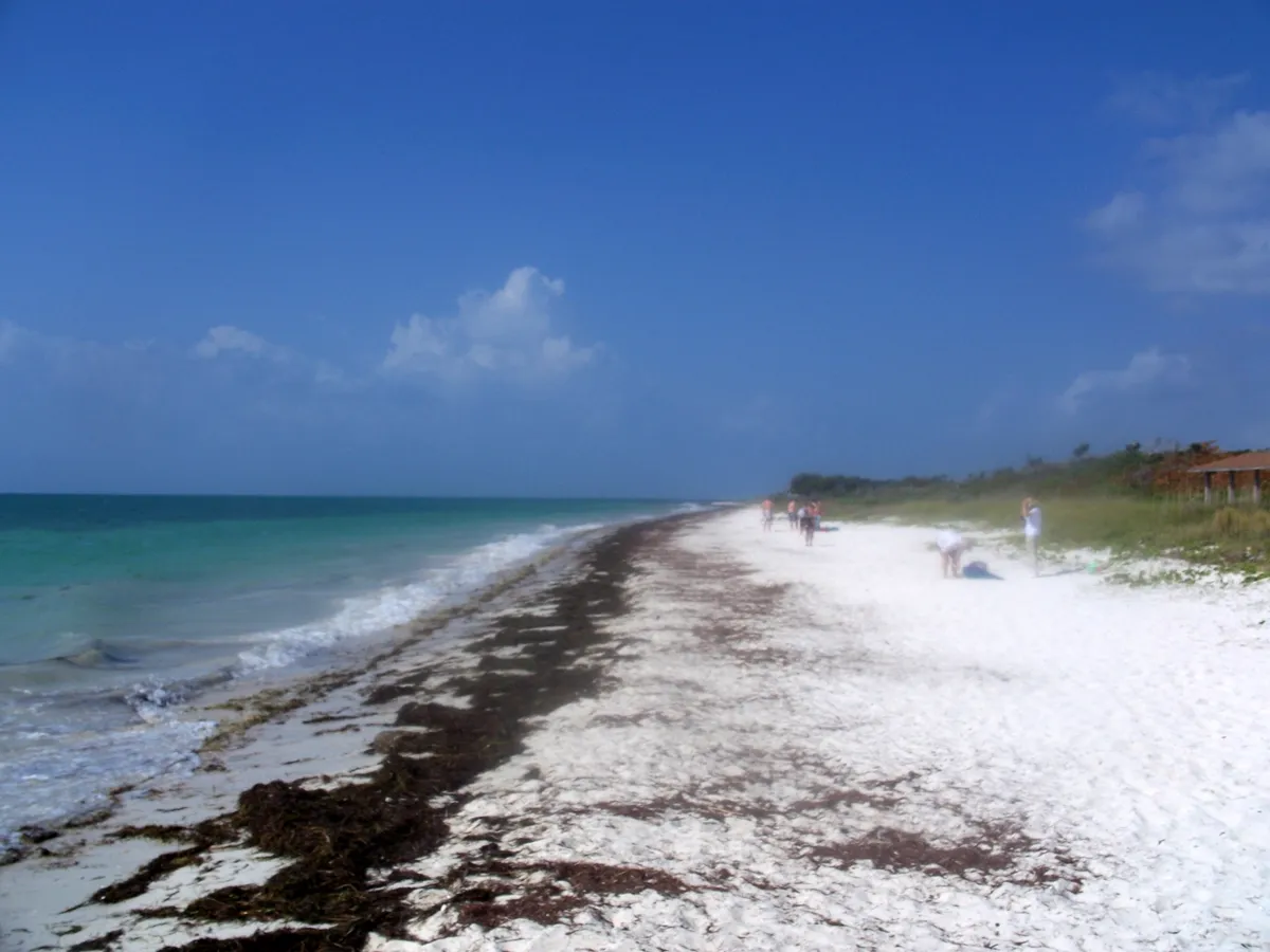 White sand beach at Bahia Honda State Park