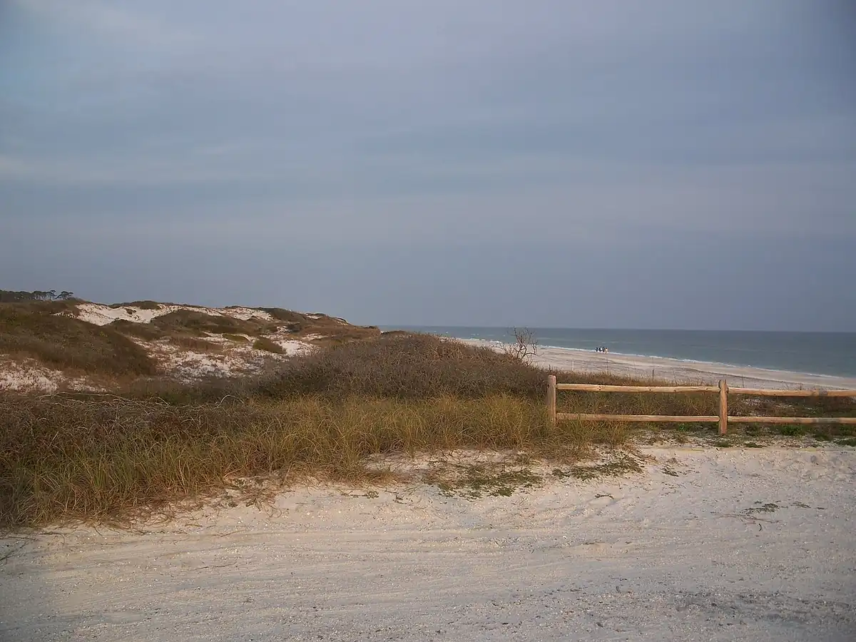 Dune fence and sea oats at Grayton Beach State Park on Scenic 30A