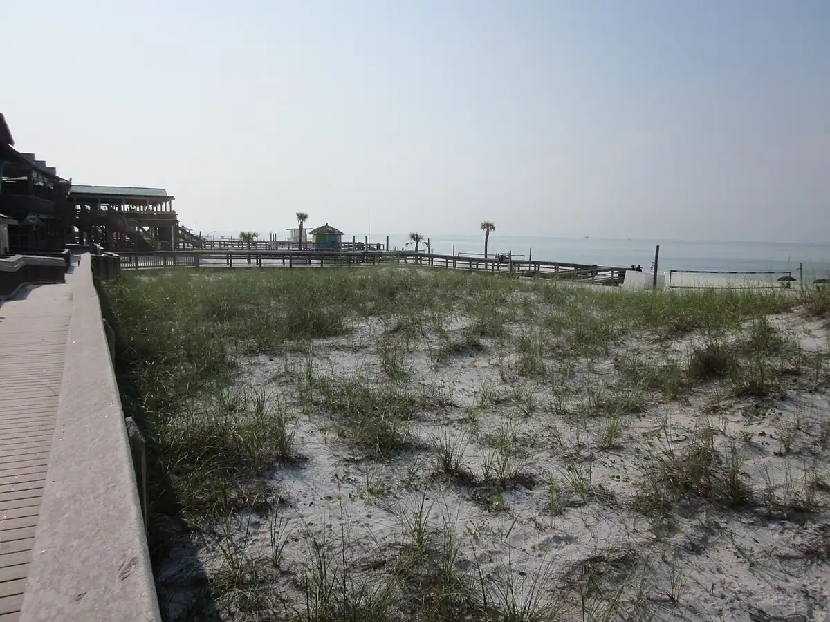 Dune boardwalk with sea oats on Okaloosa Beach