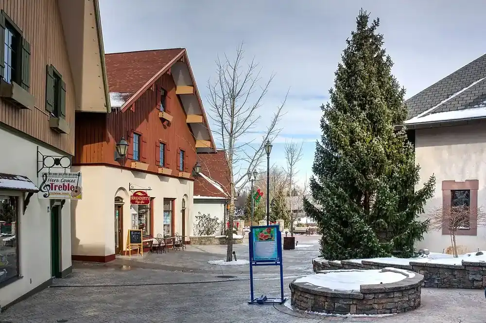 Riverside shops along the Cass River