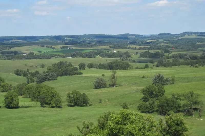 Rolling green hills and scattered trees in northwestern Illinois