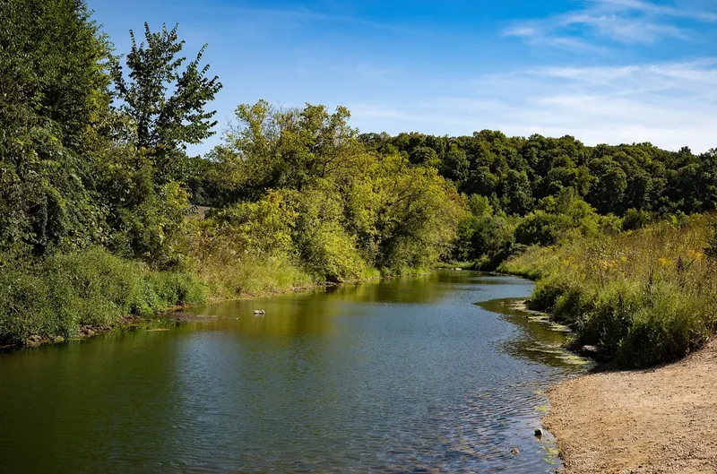 A calm river bend between green wooded banks under a blue sky in the Galena area