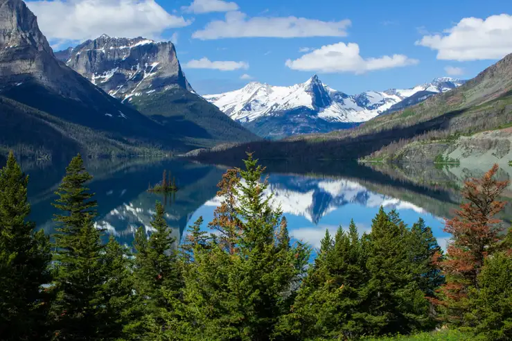 Alpine meadow at Logan Pass