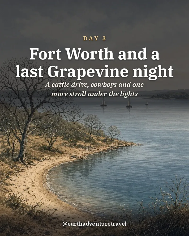 Illustrated day card: A cattle drive, cowboys and one more stroll under the lights