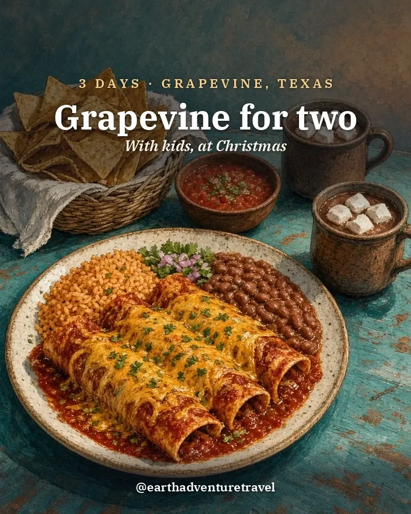 Illustrated recap card: Grapevine