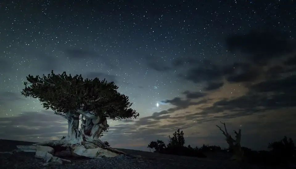 The night sky blazing over Great Basin National Park