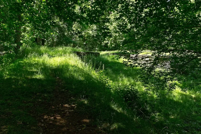 An overgrown stone canal lock on the Chesapeake and Ohio Canal near Harpers Ferry, with green trees