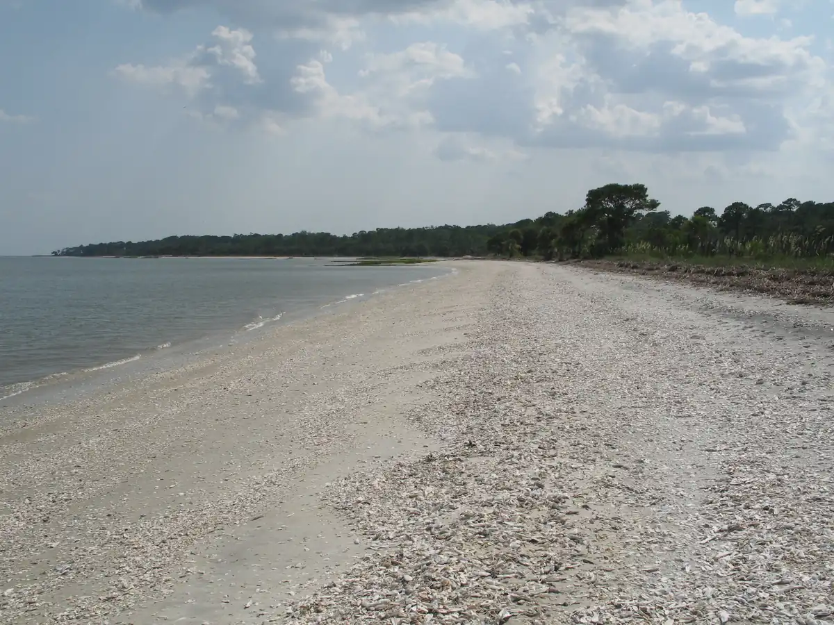 Daufuskie Island shell beach