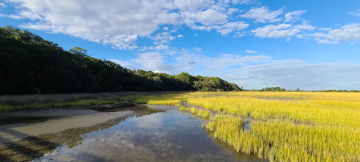 Salt marsh at Fish Haul Creek, Hilton Head
