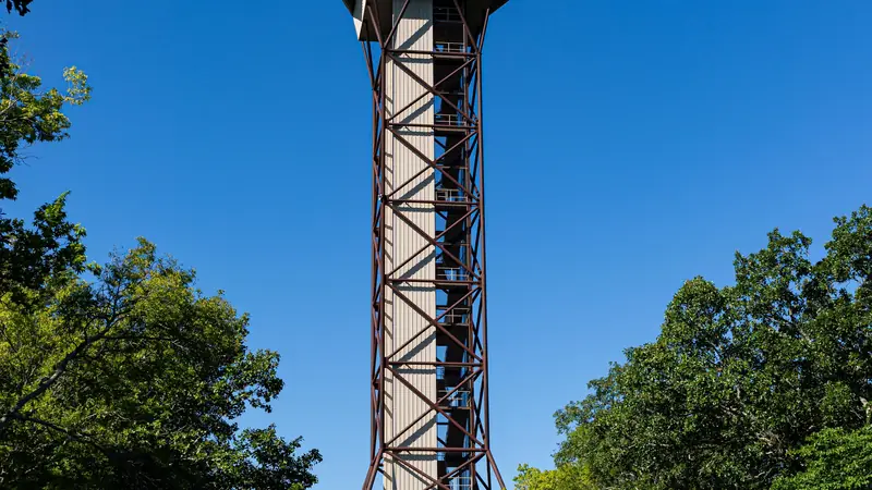 The Hot Springs Mountain Tower rising above the Ouachita forest
