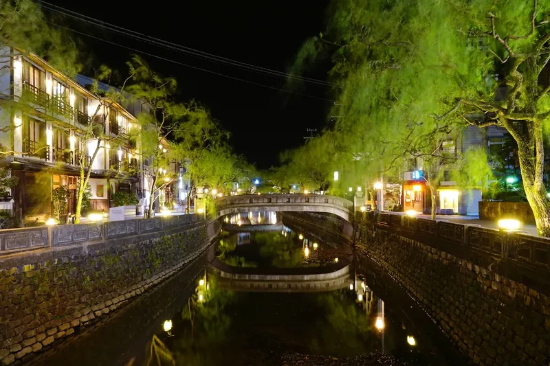 Kinosaki Onsen’s canal and willows lit up at night