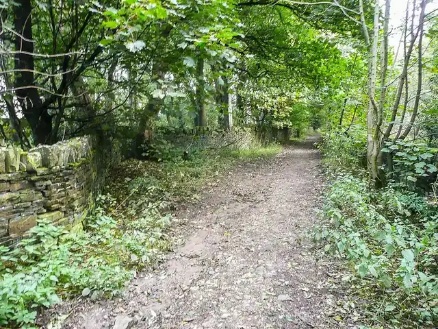A traditional Irish country lane with stone walls