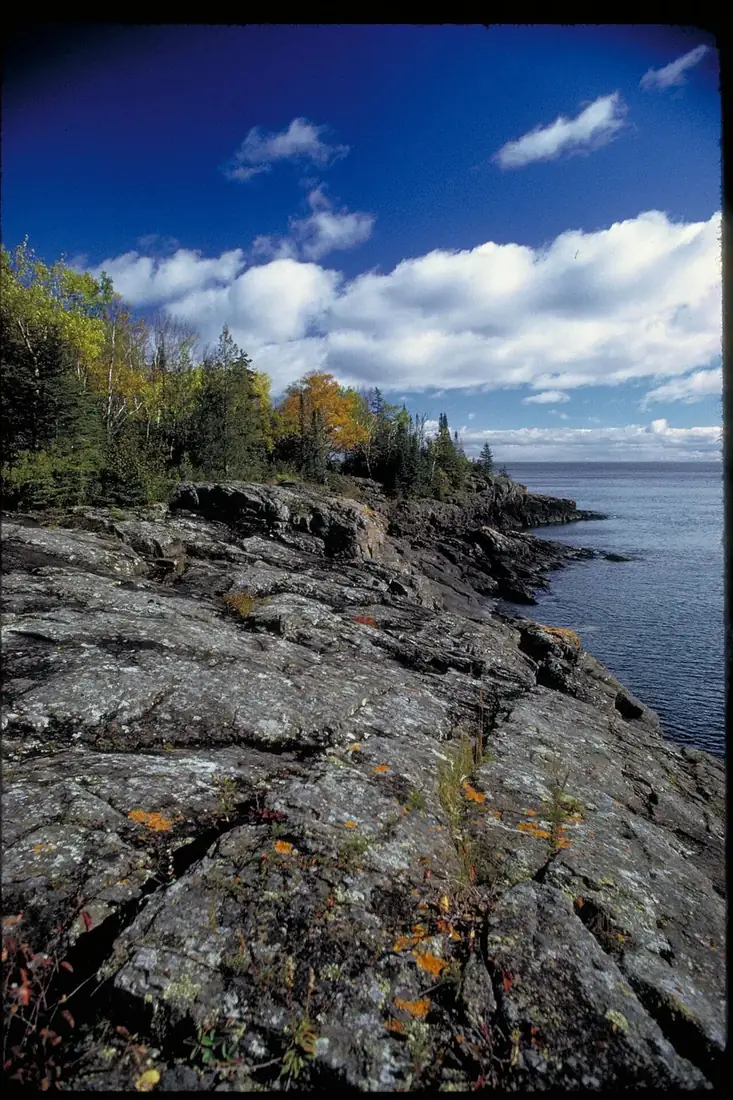 Rocky shoreline and forest near Lane Cove on Isle Royale
