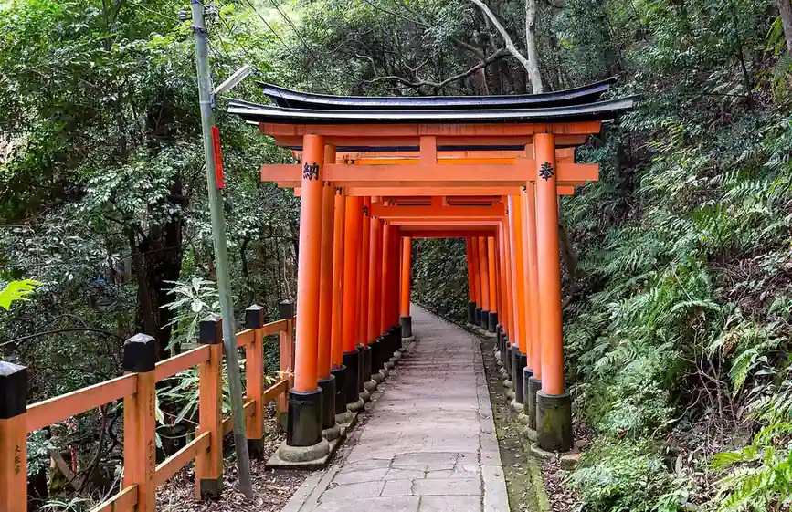 The tunnel of vermillion gates at Fushimi Inari