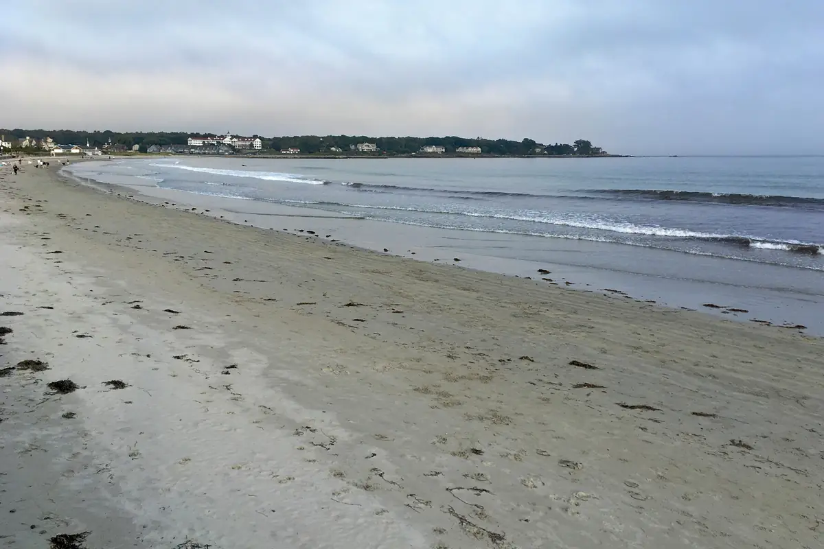 A quiet sandy beach curving toward a wooded point under a grey sky, with low waves