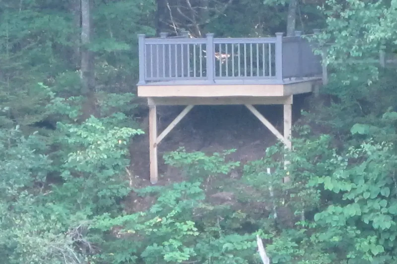 A wooden viewing platform among dense trees at the Rachel Carson National Wildlife Refuge in southern Maine