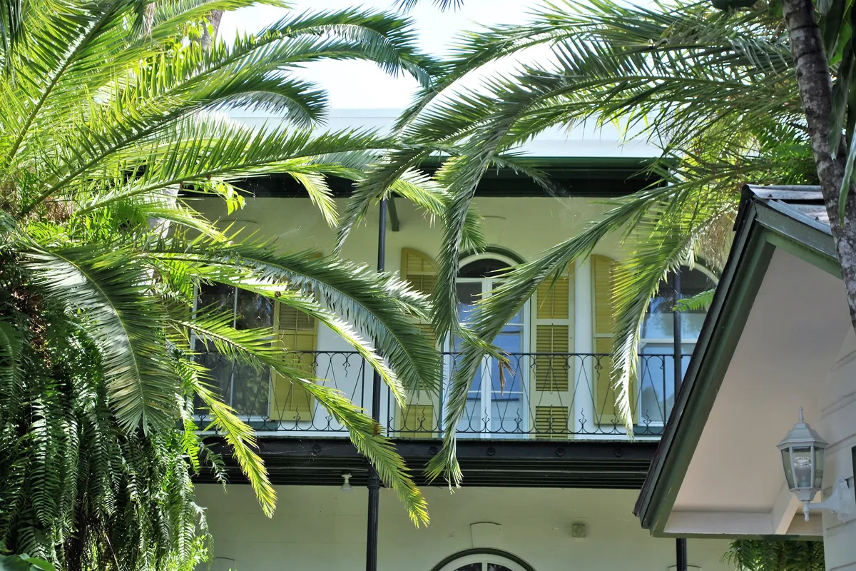 The Ernest Hemingway House in Key West, a limestone house with yellow shutters and iron balconies behind palms