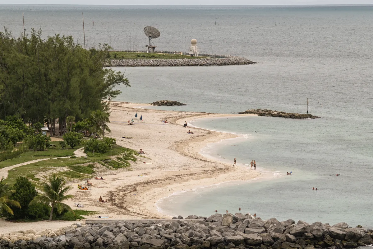 The beach at Fort Zachary Taylor Historic State Park with pines and clear water