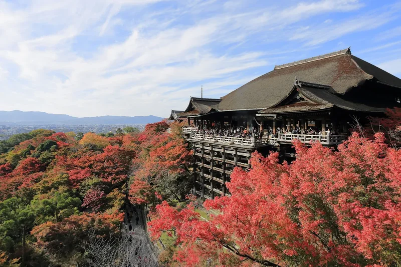 Kiyomizu-dera and its wooden stage among autumn trees in November
