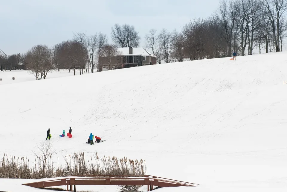 Children sledding down a snowy hill with bare trees behind