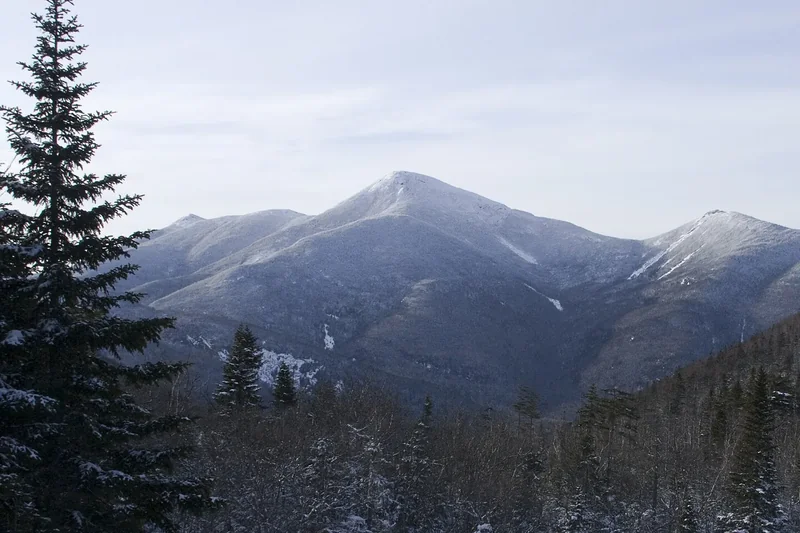 Snow-dusted High Peaks under a pale winter sky, framed by a tall spruce and frosted forest below