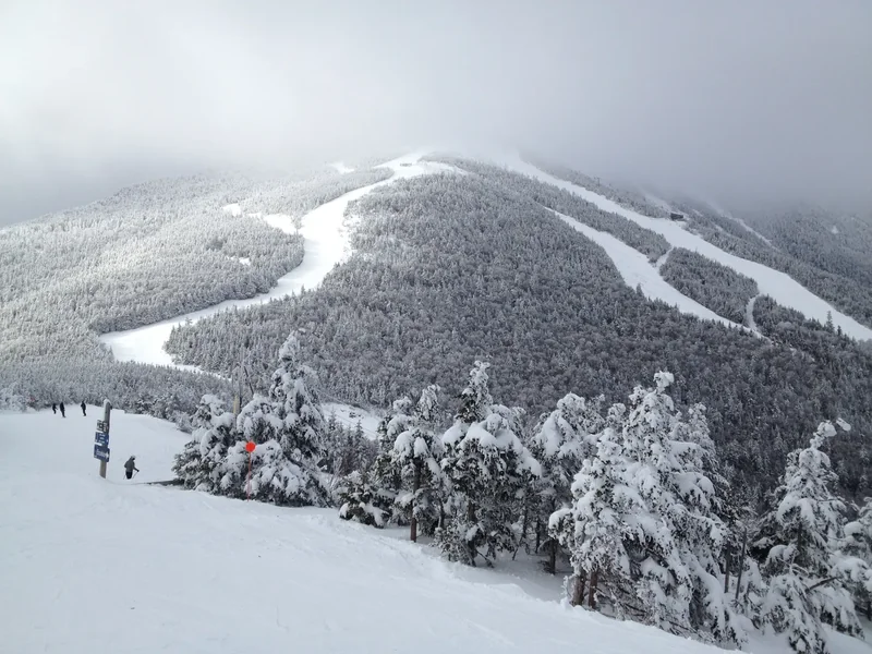 Ski runs on Whiteface Mountain seen from the gondola