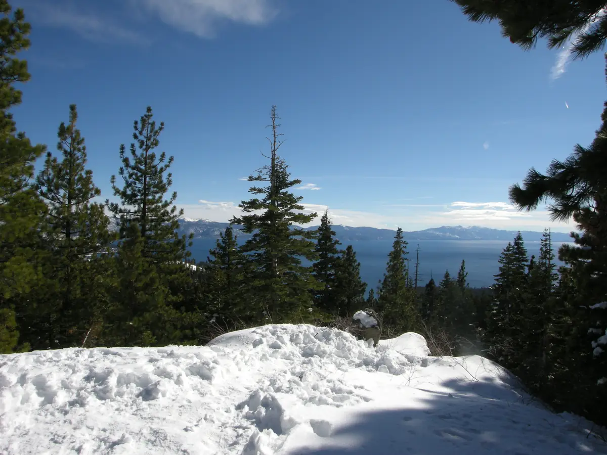 Lake Tahoe in winter — deep blue alpine lake ringed by snow-covered Sierra peaks